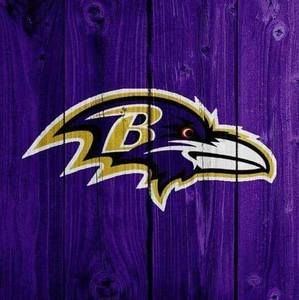 Meet your Posher, Owlie